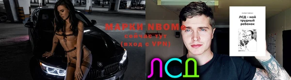 дмт Аркадак