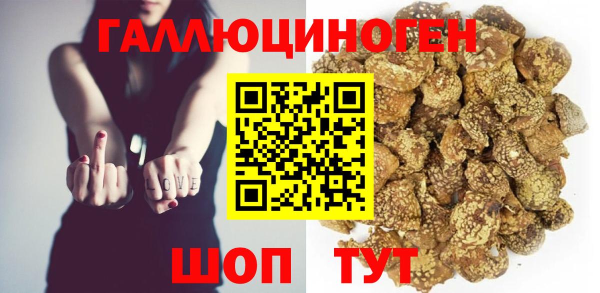 Галлюциногенные грибы Psilocybine cubensis Ухта
