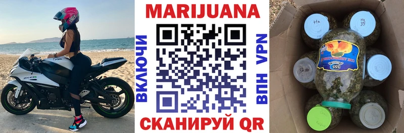 Конопля сатива  Ухта 